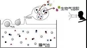 污水廠內(nèi)的生物氣溶膠怎么產(chǎn)生,污水從業(yè)人員如何做好防護(hù)?- 污水廠內(nèi)的生物氣溶膠怎么產(chǎn)生,污水從業(yè)人員如何做好防護(hù)?-