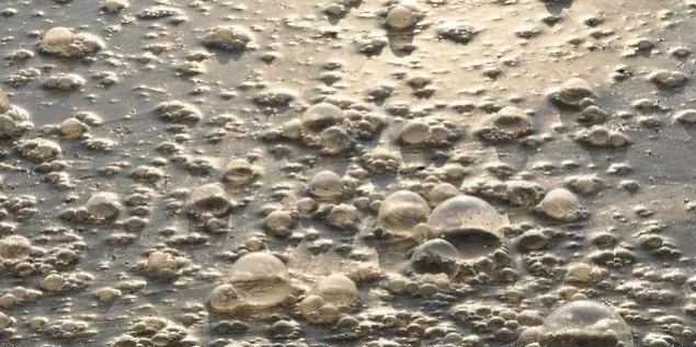 污水廠內(nèi)的生物氣溶膠怎么產(chǎn)生,污水從業(yè)人員如何做好防護(hù)?- 污水廠內(nèi)的生物氣溶膠怎么產(chǎn)生,污水從業(yè)人員如何做好防護(hù)?-