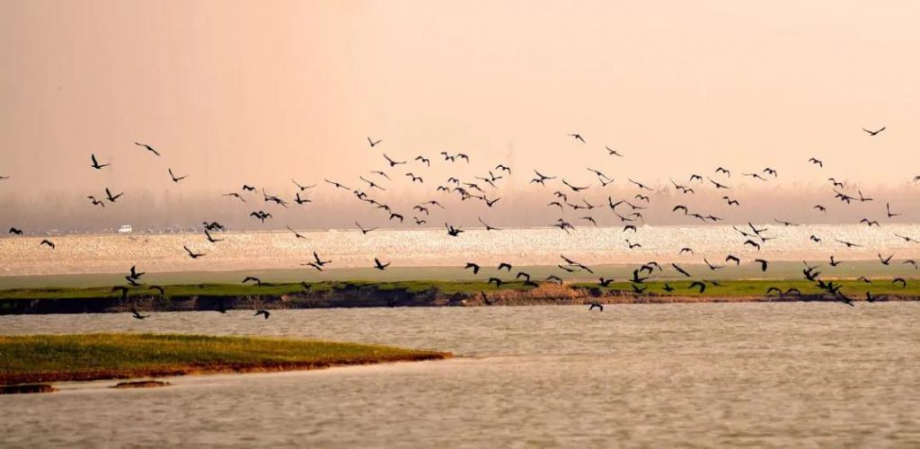 湖南849個鄉鎮要建成污水處理設施，總投資達268億-