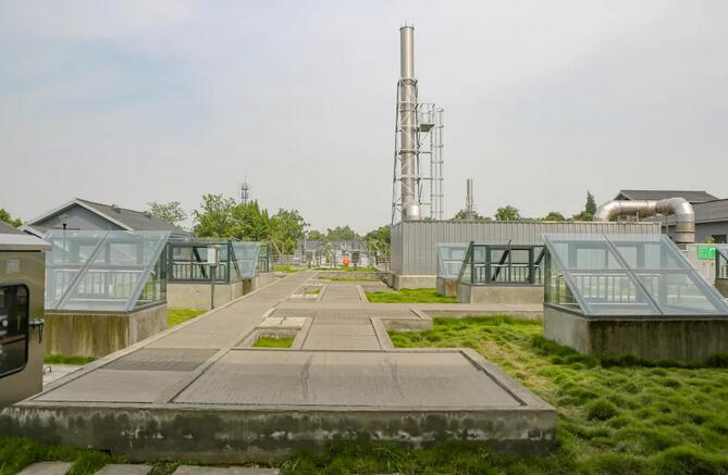 污水凈化后可養魚？這家污水處理廠真牛！-