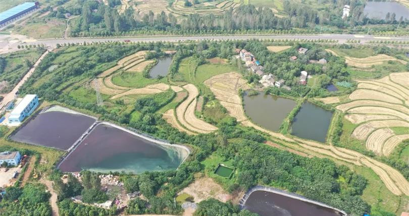 垃圾滲濾液巨量積存 環境污染隱患突出！